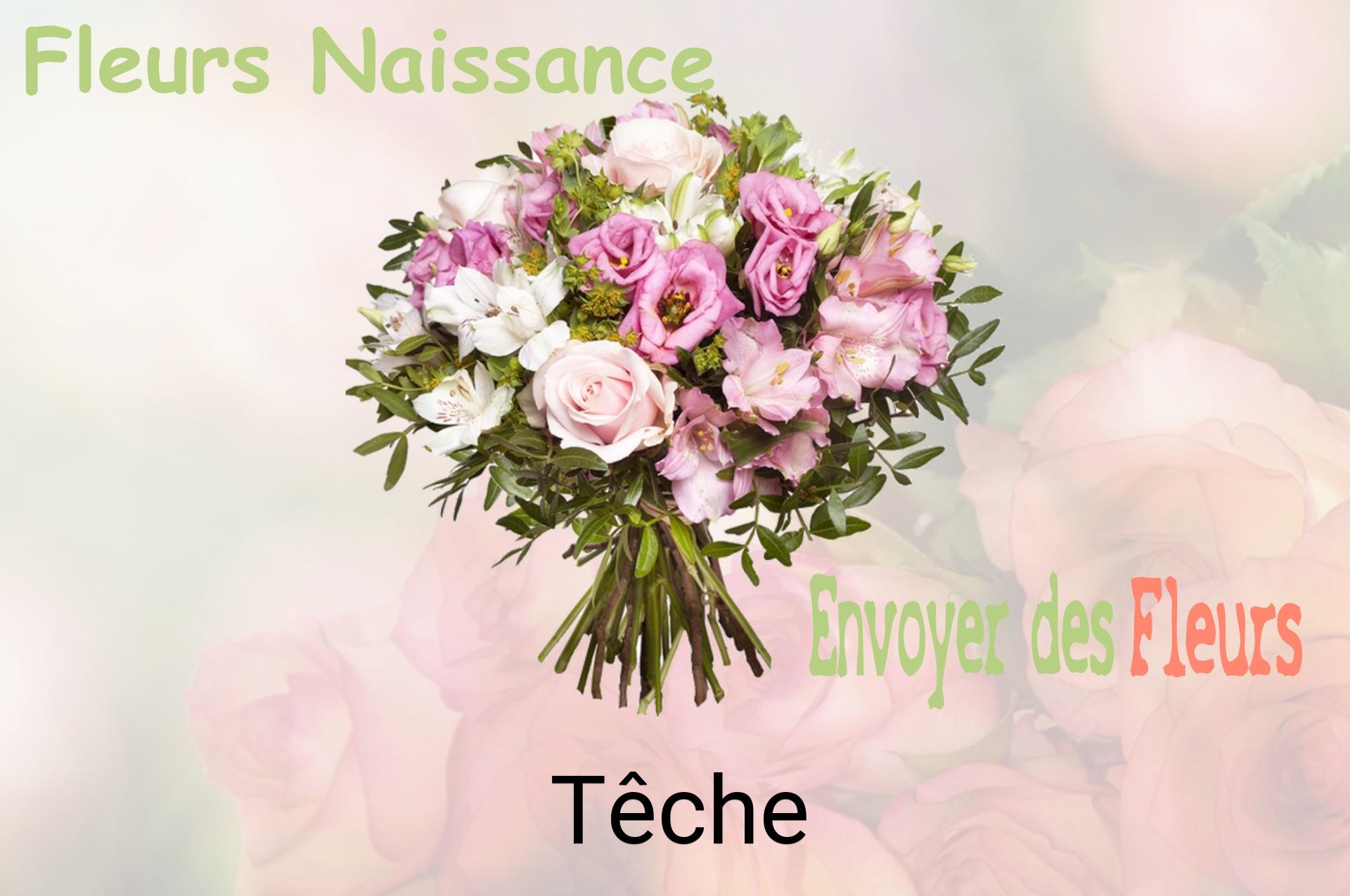 Bouquet de fleurs de naissance livré à Têche